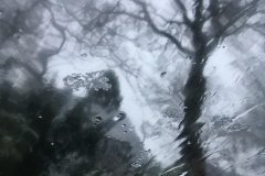 Haus mit Baum